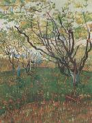 Vincent Van Gogh Orchard in Blosson (nn04) Sweden oil painting reproduction